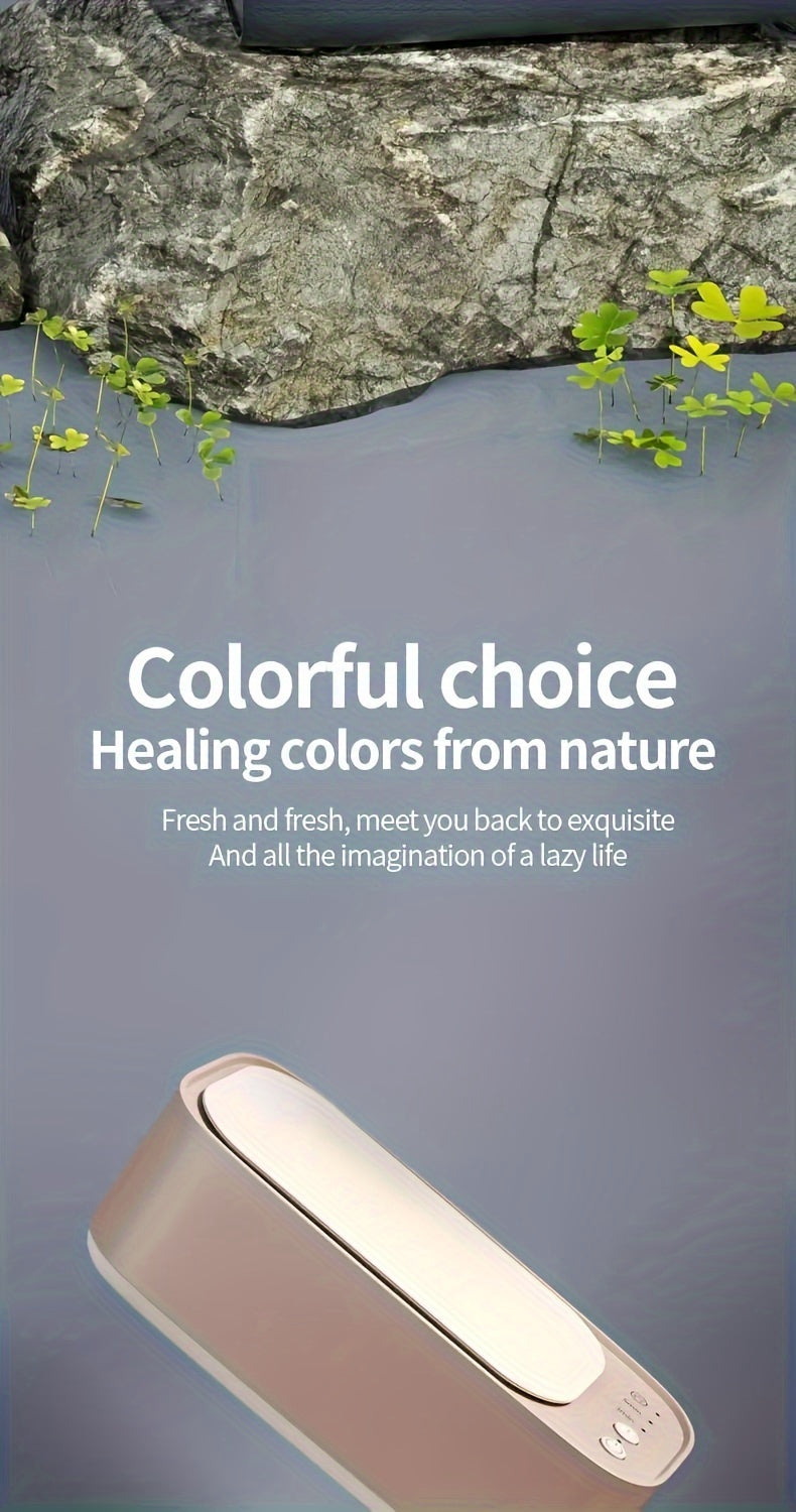 45KHz Professional Jewelry Cleaner