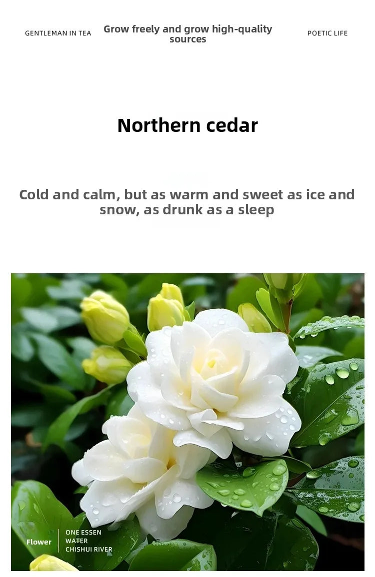 Elegant Duchess Perfume