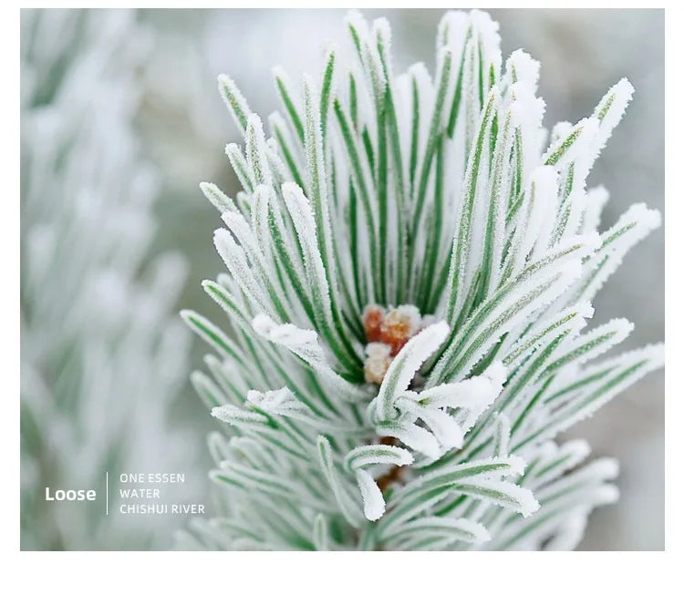 Elegant Duchess Perfume